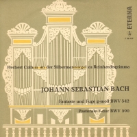 Bach I. S. Fantasie und Fuge g-moll BWV 542. Pastorale F-dur BWV 590